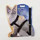 collar and leash pet shop