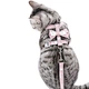 Cat Harness And Leash Set