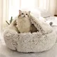 nest for cats