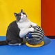 Cat Scratch Bal