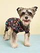 Dog Halloween Cute Costumes Cosplay  Clothes
