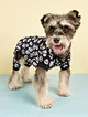Dog Halloween Cute Costumes Cosplay  Clothes