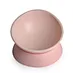 Tilting Non-slip Pet Bowl