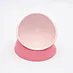 Tilting Non-slip Pet Bowl