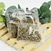 Natural Feline Stimulant Herb