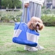 Dog Handbag