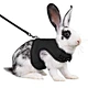 harness with leash for hamster rabbit bunny