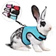 harness with leash for hamster rabbit bunny