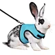 harness with leash for hamster rabbit bunny