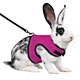 harness with leash for hamster rabbit bunny