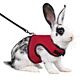 harness with leash for hamster rabbit bunny