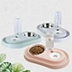 Splash-proof Pet Bowl