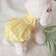 Pet Skirt Lantern