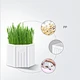 Indoor Pet Garden