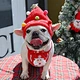 Christmas Santa DOG  Clothes