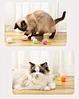 Colorful Soft Lightweight For Indoor Pet Playing