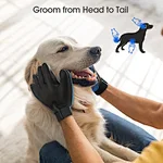 Pet Grooming Mitt