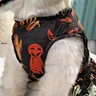 Dog Halloween Lightweight Velvet Clothes