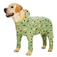 Pet Hair Dust Joint Four-Legged Garment