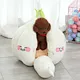 Creative cat bed