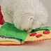 zhu zhu pets toys