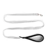 dog walking leash