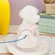 Pet Summer Clothes