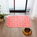 Bone-Shaped Feeding Mat
