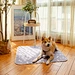 Bone-Shaped Feeding Mat