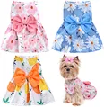 Vestido encantador para animais de estimação