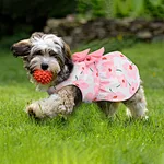 Vestido adorável para animais de estimação