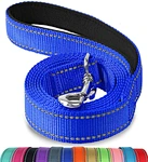 dog leash for biking