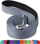 dog leash walmart