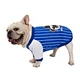 Dog Spring Summer T-Shirt