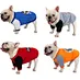 Dog Spring Summer T-Shirt
