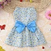 Pet Apparel Colorful