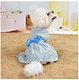 Pet Apparel Colorful