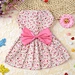 Pet Apparel Colorful