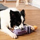 Pet Molars Chewing Toys