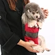 Hands Free Backpack