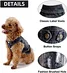 Roupas da moda para cachorros jeans