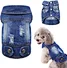 Roupas da moda para cachorros jeans