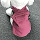 Dog Dress Denim Jacket Dress