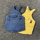 Dog Dress Denim Jacket Dress