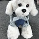 Dog Dress Denim Jacket Dress