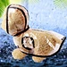 Capa de chuva com capuz transparente para cachorro