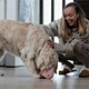 Dog Treat Dispensing Toys