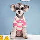 Dog Striped Two Legs Polo T shirt