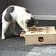Cat Punch Indoor Play Box Puzzle Hunt Toy