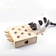 Cat Punch Indoor Play Box Puzzle Hunt Toy
